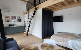 The Bedroom - Proche Aeroport Lyon, Groupama Stadium, Ldlc Arena, Eurexpo, Viarhona